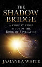 The Shadow Bridge: A verse by verse study of the Book of Revelation - Paperback