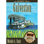 Journey to Galveston - Hardcover