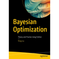 Bayesian Optimization: Theory and Practice Using Python - Paperback