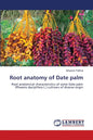 Root anatomy of Date palm - Paperback