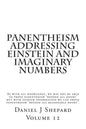 Panentheism Addressing Einstein and Imaginary Numbers - Paperback