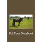 My Fell Pony - Paperback