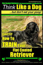 Flat Coated Retriever, Flat Coated Retriever Training AAA AKC Think Like a Dog But Don't Eat Your Poop! Flat Coated Retriever Breed Expert Training: H - Paperback