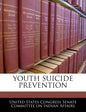 Youth Suicide Prevention - Paperback