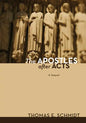 The Apostles After Acts: A Sequel - Paperback