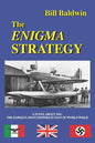 The Enigma Strategy - Paperback