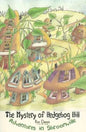 Mystery of Hedgehog Hill - Paperback