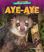 Aye-Aye - Library Binding