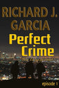 Perfect Crime Episode 1 The Engagement: Mystery (Thriller Suspense Crime Murder psychology Fiction)Series: Horror Thriller Short story - Paperback