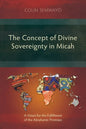 The Concept of Divine Sovereignty in Micah: A Vision for the Fulfillment of the Abrahamic Promises - Paperback