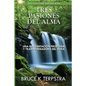 Tres Pasiones del Alma: Una Reorientacion Profunda y Transformadora del Alma - Paperback