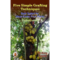 Five simple grafting techniques best suited for most exotic fruit plants (Economy Edition) - Paperback
