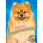 Pomeranians - Library Binding