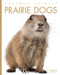 Prairie Dogs - Paperback