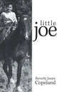 Little Joe - Paperback