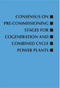 Consensus on Pre-Commissioning Stages for Cogeneration and Combined Cycle Power Plants - Paperback