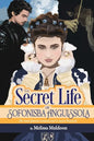 The Secret Life of Sofonisba Anguissola - Paperback