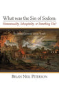 What Was the Sin of Sodom: Homosexuality, Inhospitality, or Something Else?: Reading Genesis 19 as Torah - Paperback