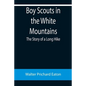 Boy Scouts in the White Mountains: The Story of a Long Hike - Paperback