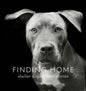 Finding Home: Shelter Dogs and Their Stories - Hardcover