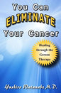 You Can Eliminate Your Cancer: Healing through the Gerson Therapy - Paperback