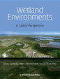 Wetland Environments - A Global Perspective - Paperback