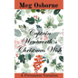 Captain Wentworth's Christmas Wish - Paperback