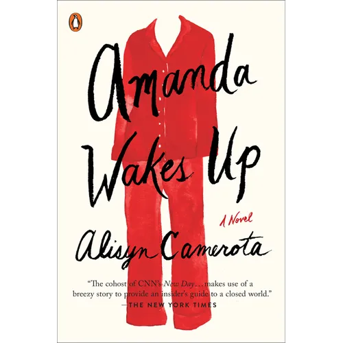 Amanda Wakes Up - Paperback