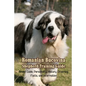 Romanian Bucovina Shepherd Training Guide: Breed Guide, Personality, History, Grooming, Facts, and Information: Romanian Bucovina Shepherd Encyclopedi - Paperback