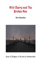 Wild Cherry and The Broken Man - Paperback