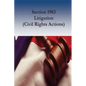 Section 1983 Litigation (Civil Rights Actions) - Paperback