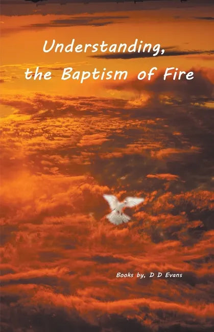Understanding the Baptism of Fire - Paperback