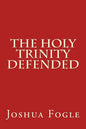 The Holy Trinity Defended - Paperback