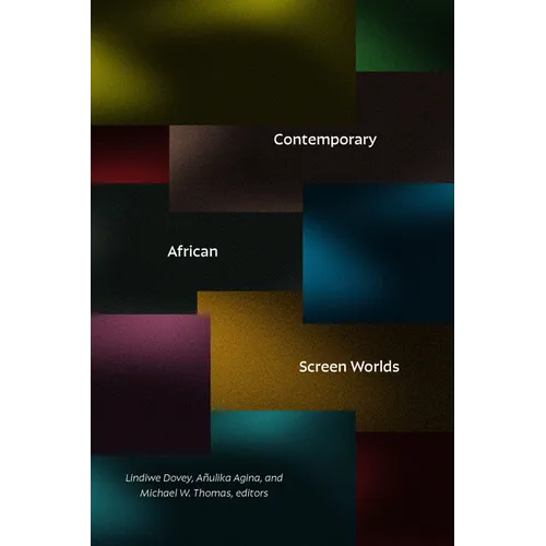 Contemporary African Screen Worlds - Paperback