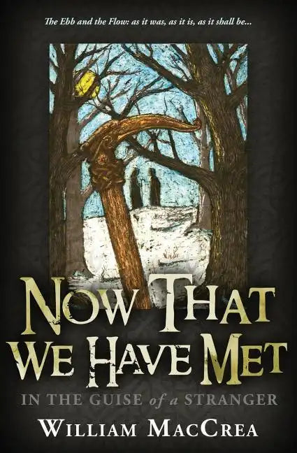 Now That We Have Met: In The Guise Of A Stranger - Paperback