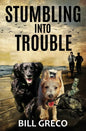 Stumbling into Trouble - Paperback