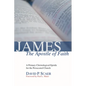 James, the Apostle of Faith - Paperback