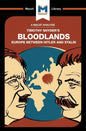 An Analysis of Timothy Snyder's Bloodlands: Europe Between Hitler and Stalin - Paperback