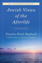 Jewish Views of the Afterlife - Paperback