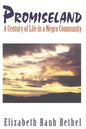 Promiseland: A Century of Life in a Negro Community - Paperback
