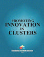Promoting Innovation in Clusters - Paperback
