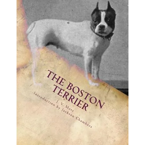 The Boston Terrier - Paperback
