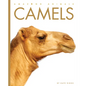 Camels - Paperback