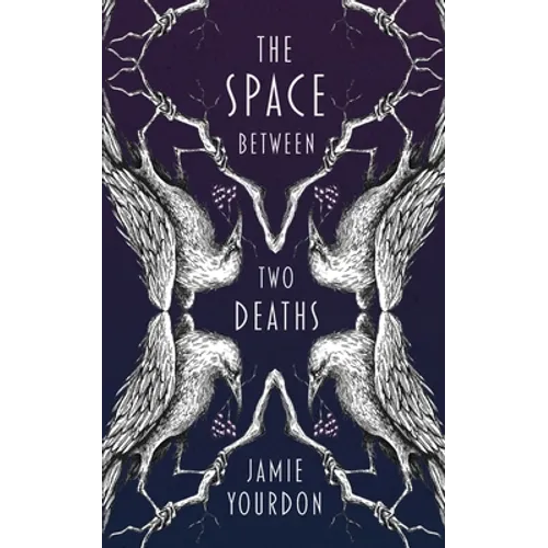 The Space Between Two Deaths - Paperback