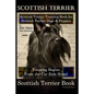 Scottish Terrier Training Book for Scottish Terrier Dogs & Scottish Terrier Puppies By D!G THIS DOG Training, Training Begins From the Car Ride Home, - Paperback