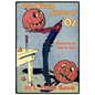 Little Wizard Stories of Oz - Paperback