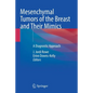 Mesenchymal Tumors of the Breast and Their Mimics: A Diagnostic Approach - Paperback