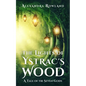 The Lights of Ystrac's Wood - Paperback