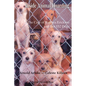 Inside Animal Hoarding: The Story of Barbara Erickson and her 522 Dogs - Paperback