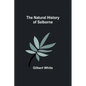 The Natural History of Selborne - Paperback